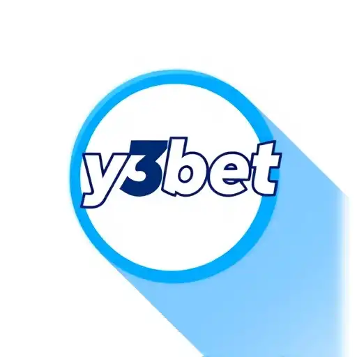 Understanding User Agreement: Insights and Considerations with Y3bet